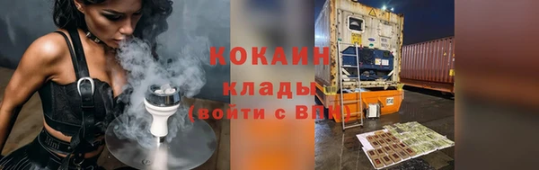 a pvp Новозыбков