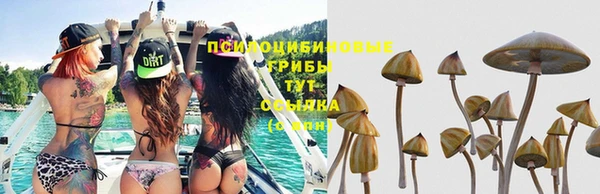 таблы Аркадак
