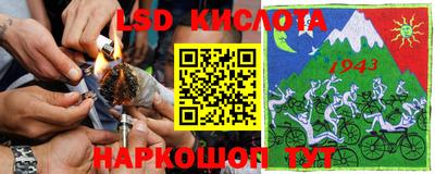 сатива Ярославль