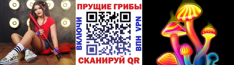 наркошоп  Невинномысск  Галлюциногенные грибы Psilocybe 