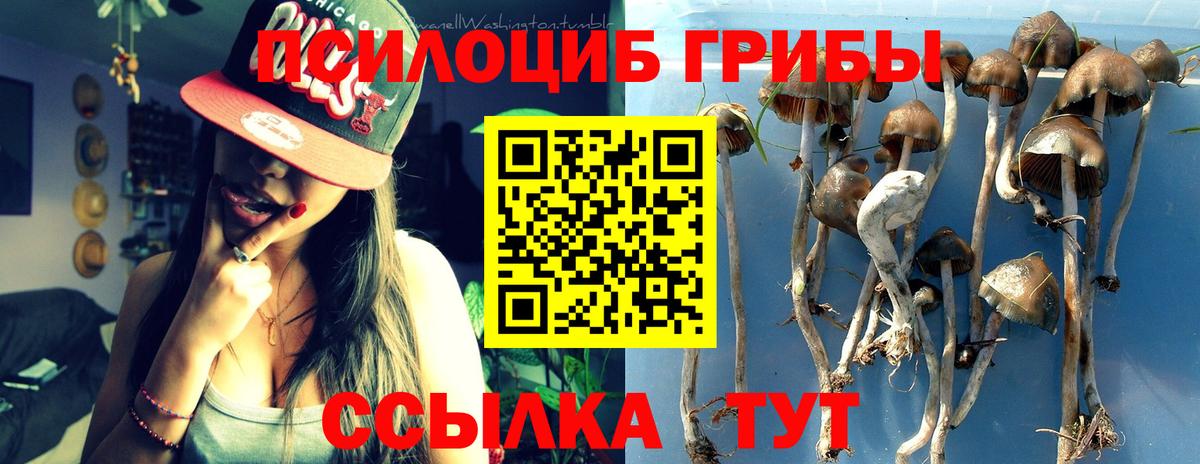 Псилоцибиновые грибы прущие грибы  Псилоцибиновые грибы Cubensis  как найти   Вход с VPN  Невинномысск 