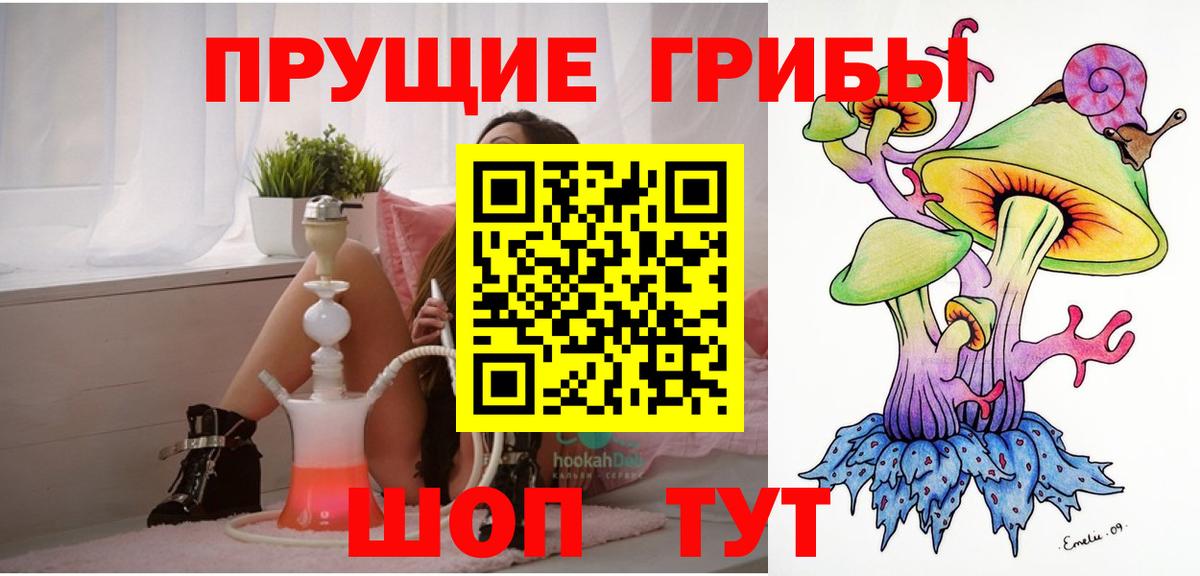 Псилоцибиновые грибы Psilocybine cubensis Невинномысск